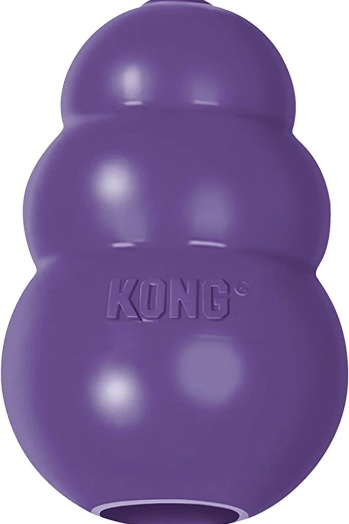 KONG Senior KONG Dog Toy, Medium, Purple by KONG